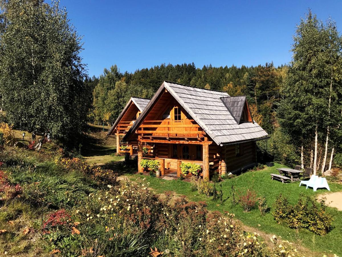 Leśniówka Domki W Karpaczu Exterior foto