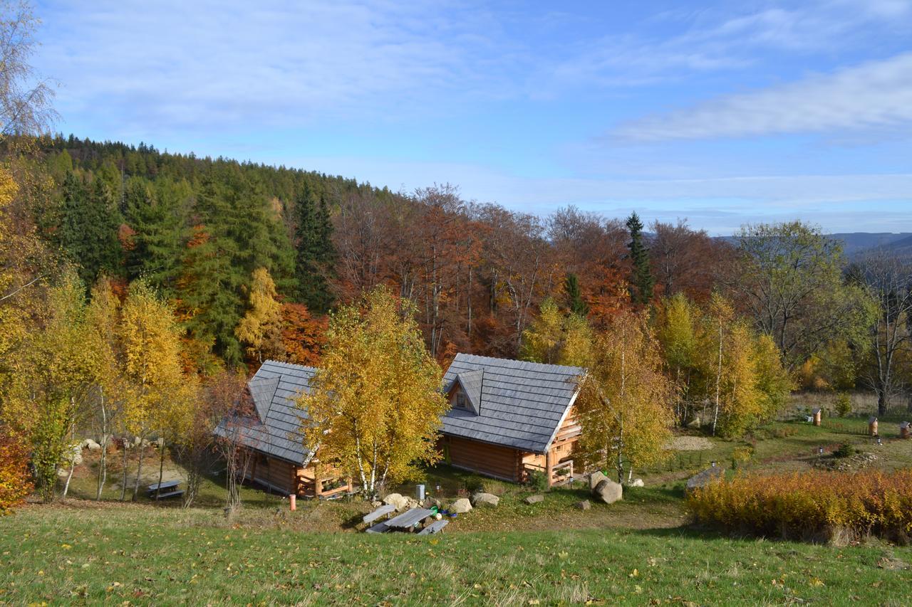 Leśniówka Domki W Karpaczu Exterior foto