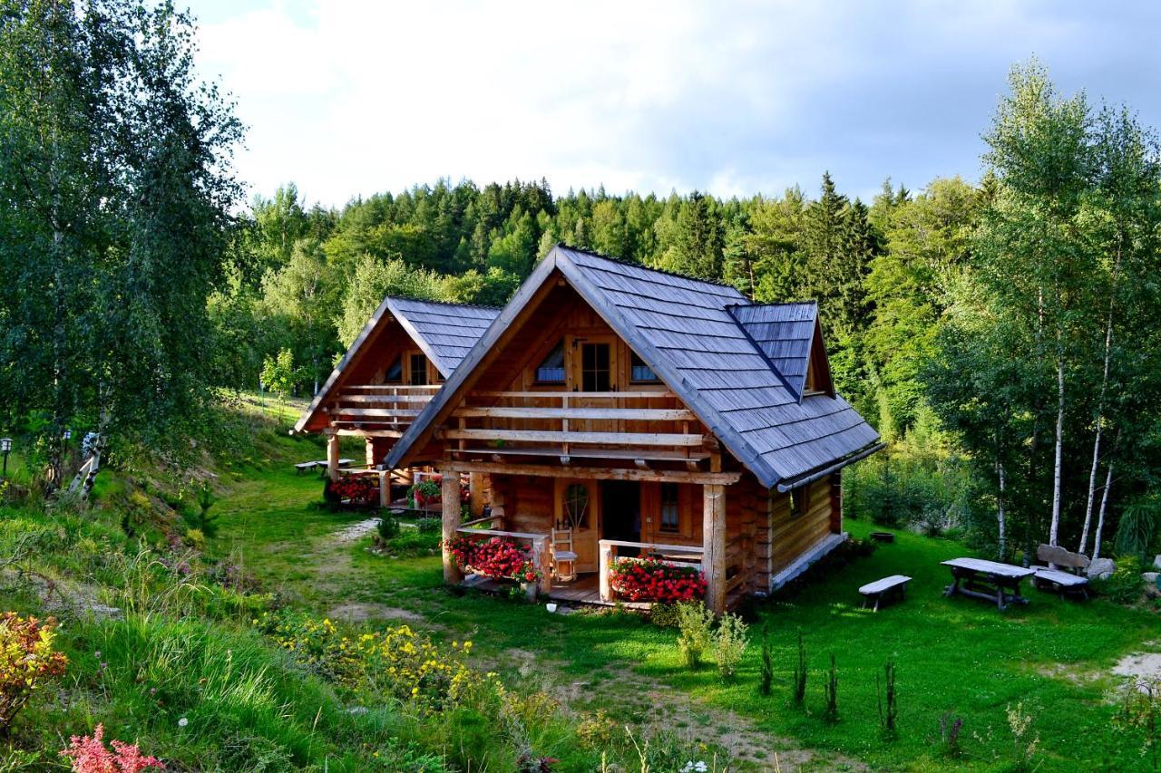 Leśniówka Domki W Karpaczu Exterior foto