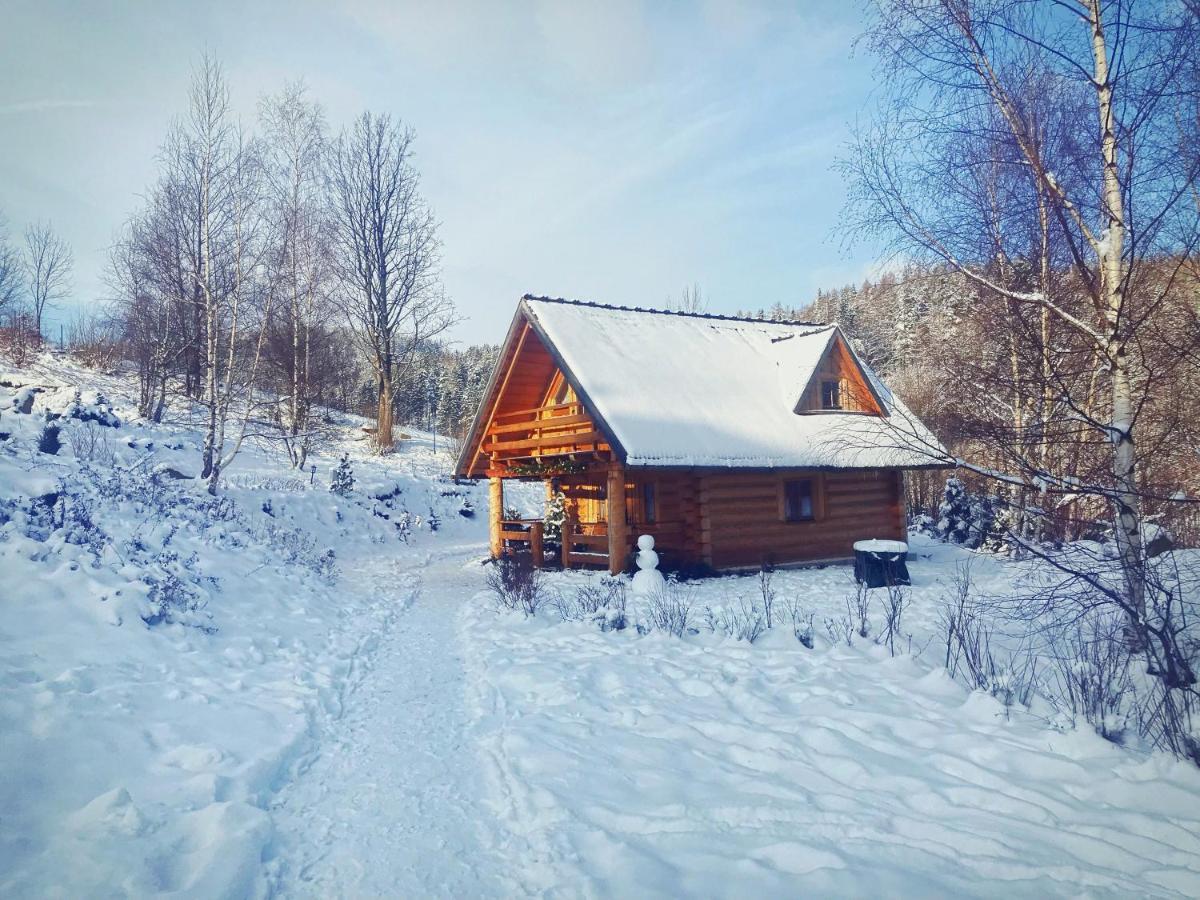Leśniówka Domki W Karpaczu Exterior foto